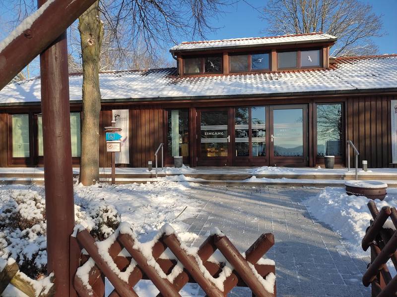 Blick durch den Eingang auf HAUS AM SEE_Grießbach2024.jpg